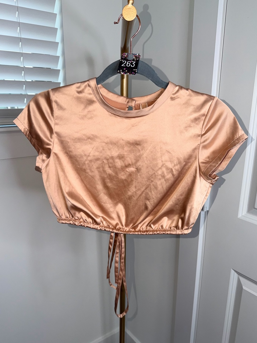 263. SKIMS Woven Shine Stretch Satin Crop Top in Pink Sand